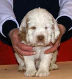 Girl_Pink_Back_6weeks_h