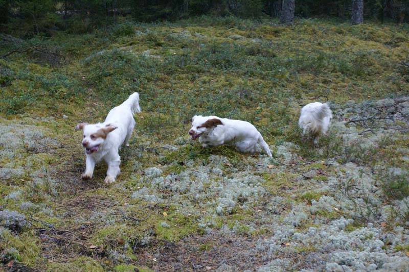 Crisse_7,5months_Tage