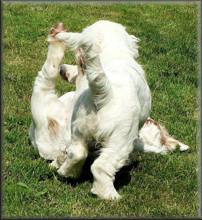 Bumbaa_EUW-07_c_Chili