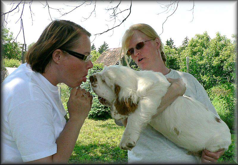 Chili_EUW-07_d_Ira_Mari