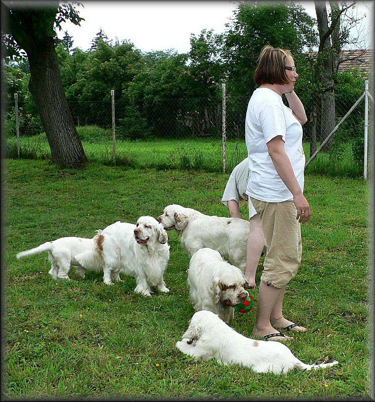 Clumber_pack_EUW-07_a