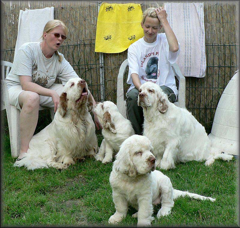 Clumber_pack_EUW-07_e