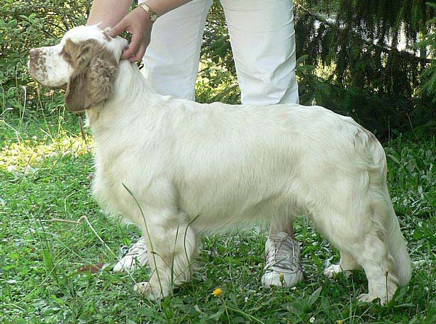 Molly_9months_EUW-07_g