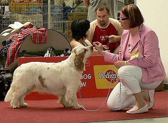 a_Molly_9months_EUW-07