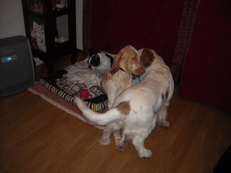 Eddie+ja+Kiira+ja+Kerttu+027