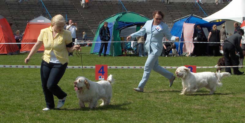 ESTW2010_BOB_Eddie_BOS_Bumbaa_6June2010