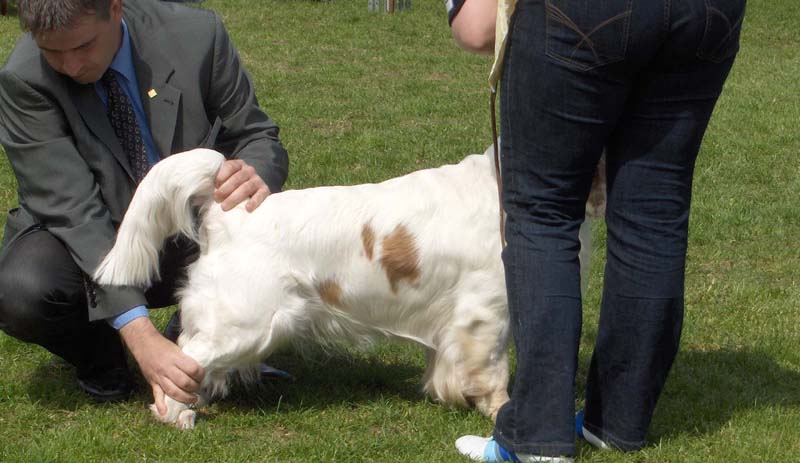 ESTW2010_Eddie_6June2010_f