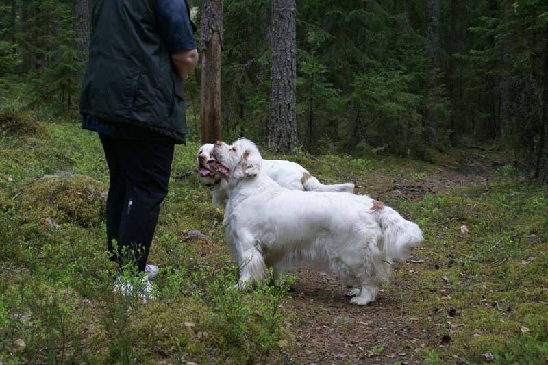 Eddie_18May_2010_Bumbaa_a_Hilla