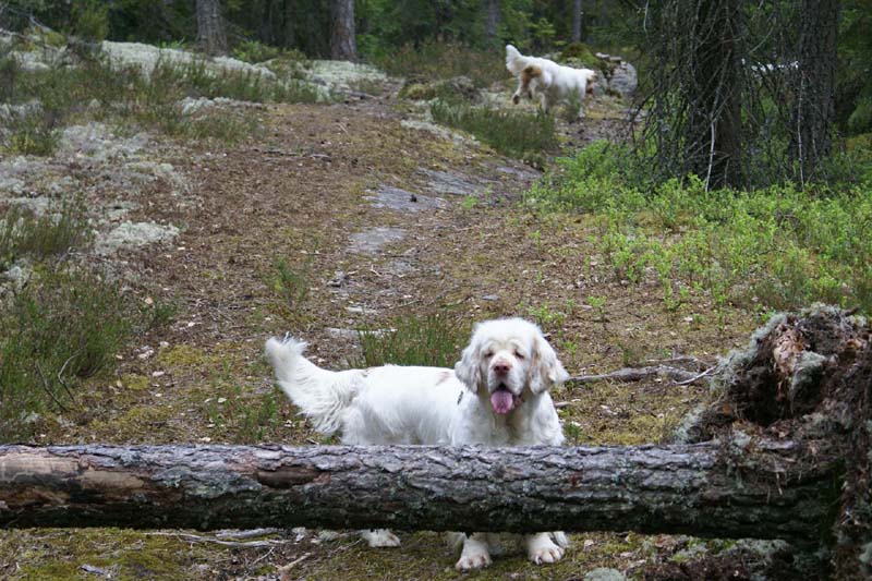 Eddie_18May_2010_Bumbaa_b_Hilla