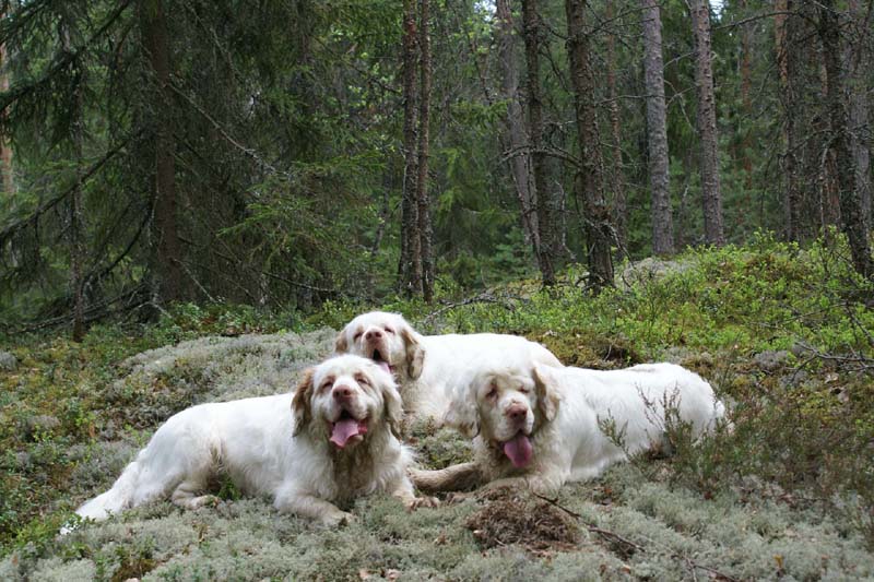 Eddie_18May_2010_Bumbaa_c_Cotton_Hilla