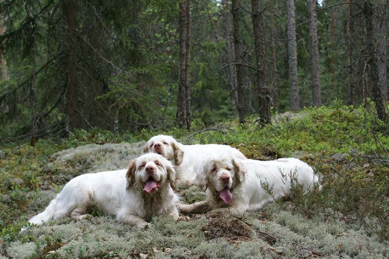 Eddie_18May_2010_Bumbaa_d_Cotton_Hilla