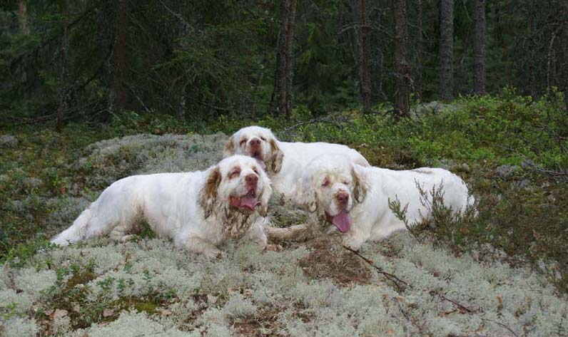 Eddie_18May_2010_Bumbaa_e_Cotton_Hilla