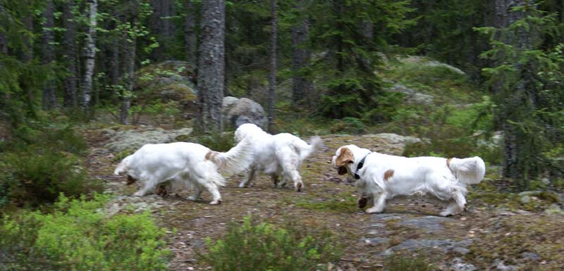 Eddie_18May_2010_c_Cotton_Hilla