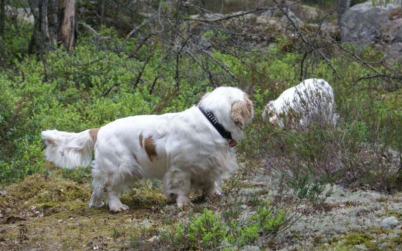 Eddie_18May_2010_d_Hilla