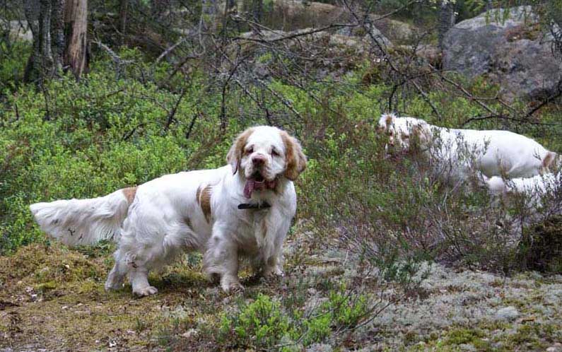 Eddie_18May_2010_e_Hilla