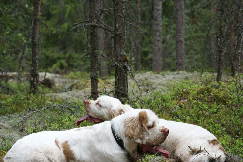 Eddie_18May_2010_f_Hilla