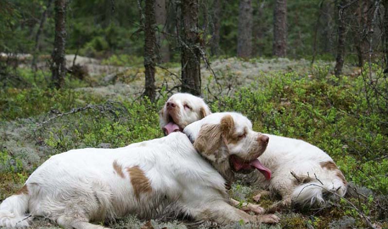 Eddie_18May_2010_g_Hilla