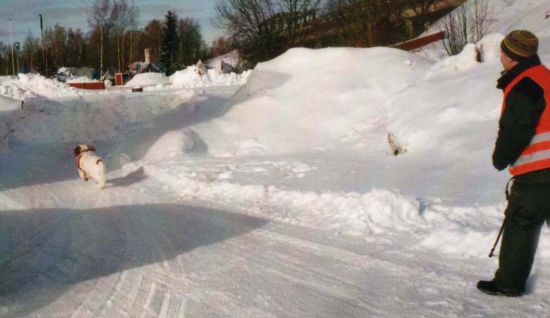 Eddie_January_2010_search_training_c