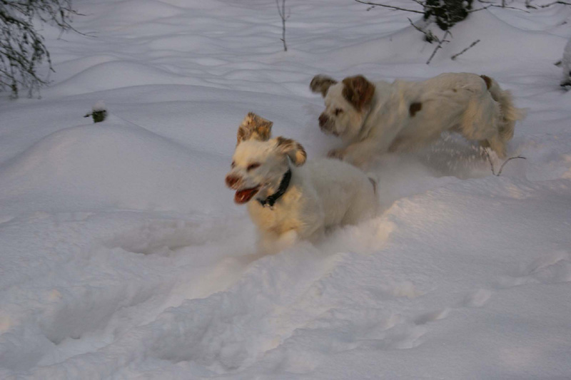 NewYearsEve_Hilla_Eddie_g