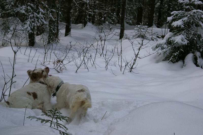 NewYearsEve_Hilla_Eddie_h