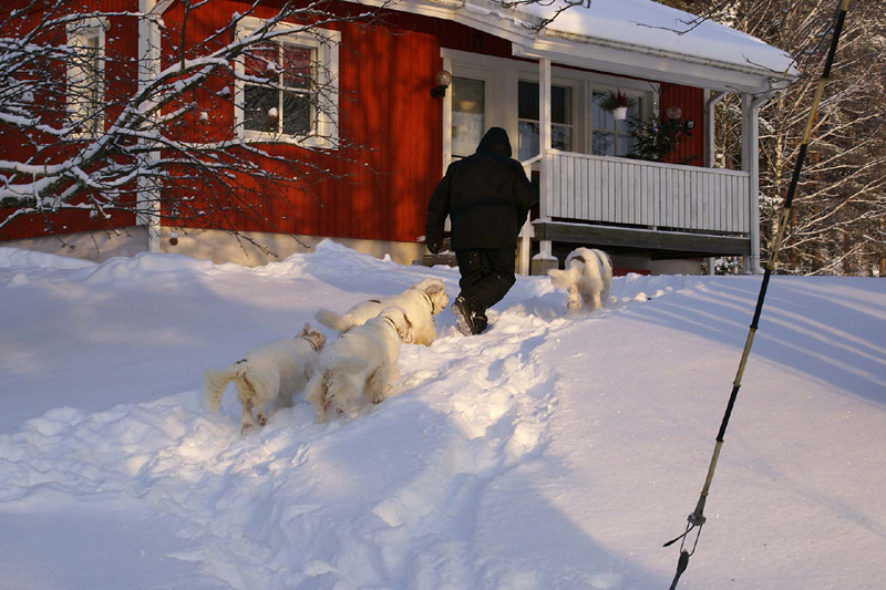 NewYearsEve_Leevi_Tetu_Bumbaa_Cotton