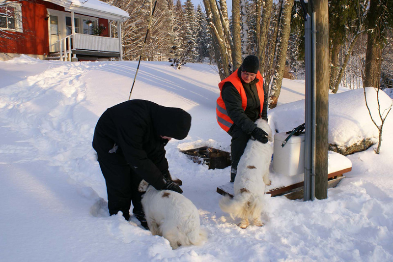 NewYearsEve_Leevi_Tetu_Bumbaa_Cotton_b