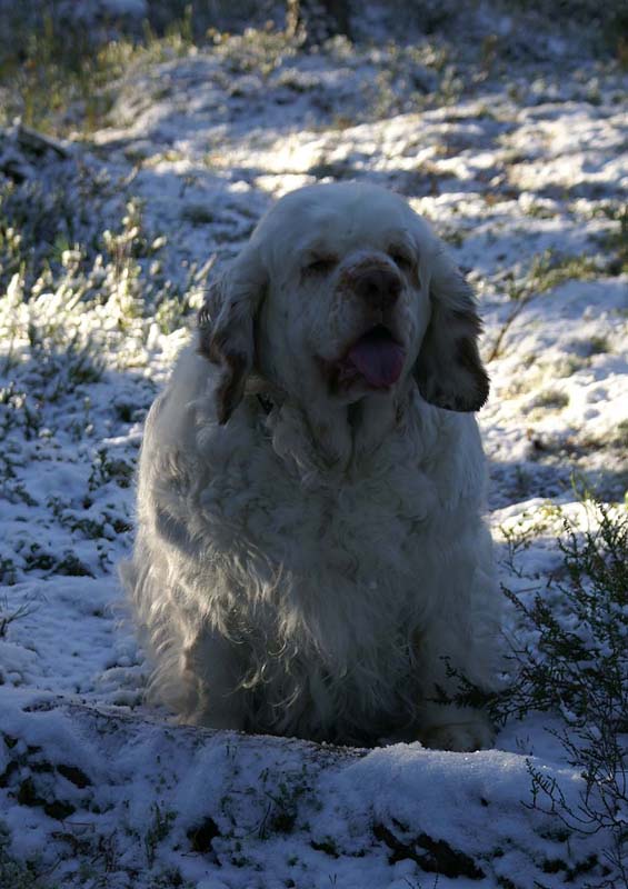 Elsa_4Nov2007_P