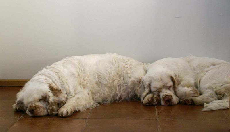 Elsa_Bumbaa_4Nov2007_b