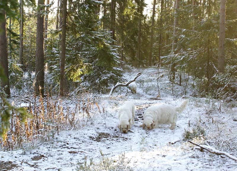 Elsa_Bumbaa_4Nov2007_c