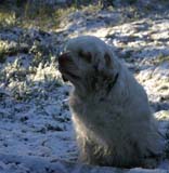 Elsa_4Nov2007_q