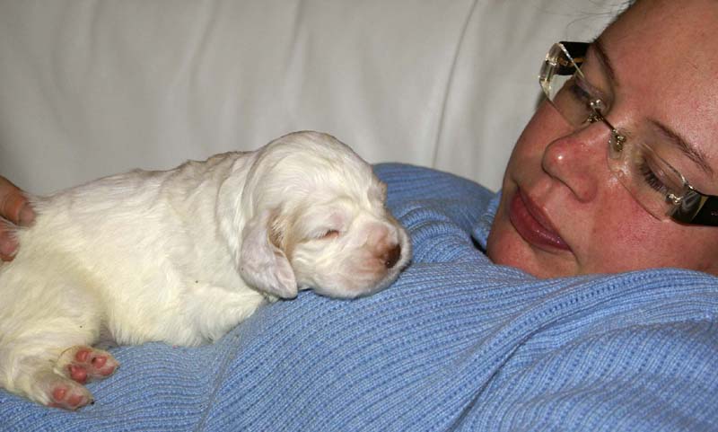 boy_bronze_tail_20days_f