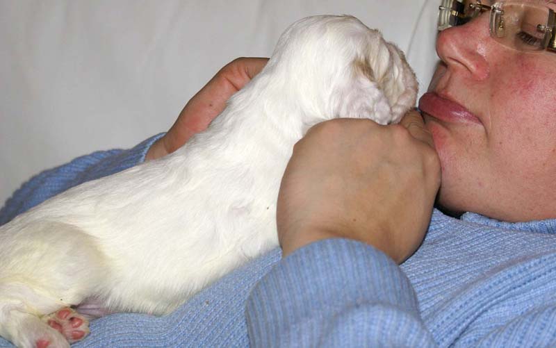 boy_bronze_tail_20days_g