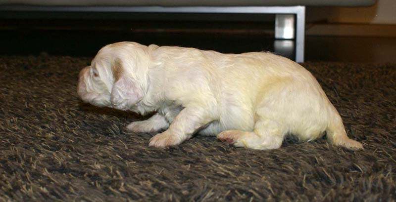 boy_purple_back_20days_a