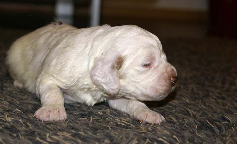 boy_purple_back_20days_b