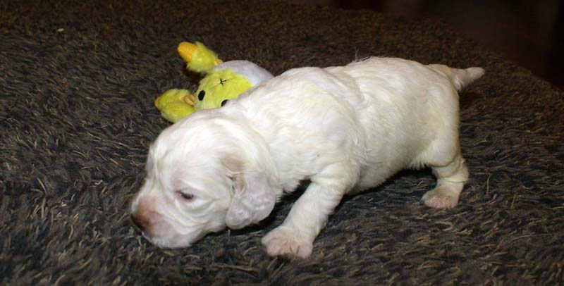 boy_purple_back_20days_c