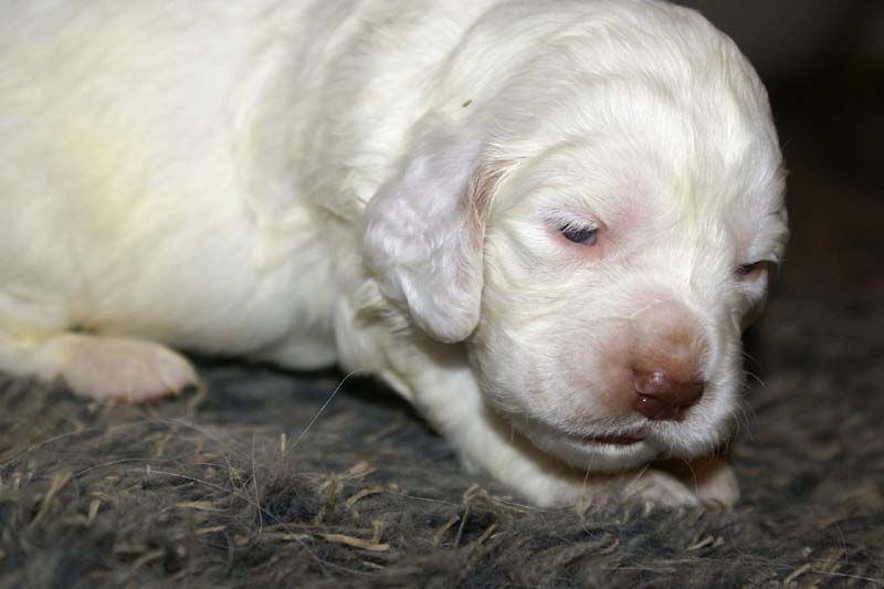 boy_purple_back_20days_d