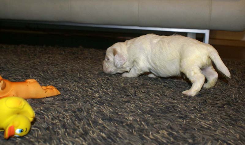 boy_purple_back_20days_f