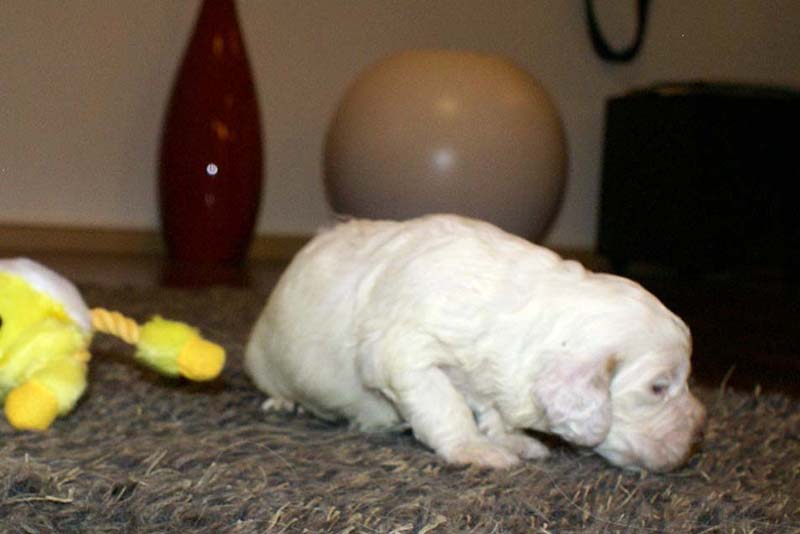 boy_purple_back_20days_g