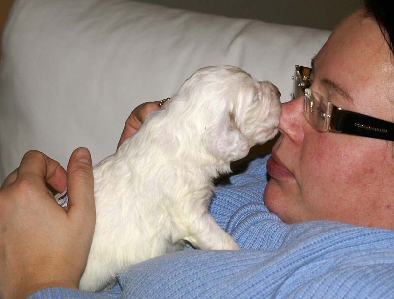 boy_purple_back_20days_h