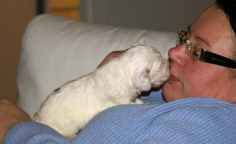 boy_purple_back_20days_i