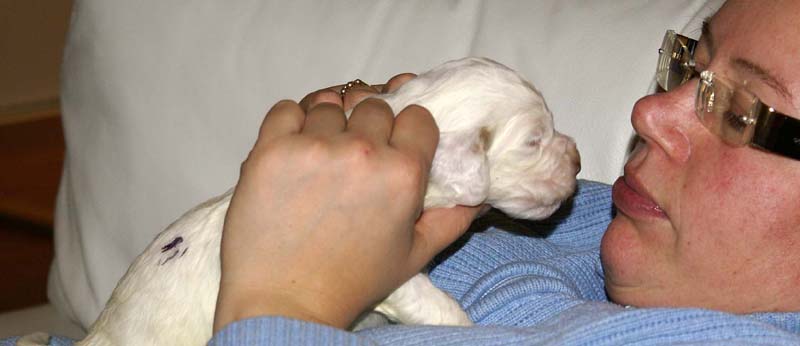 boy_purple_back_20days_k