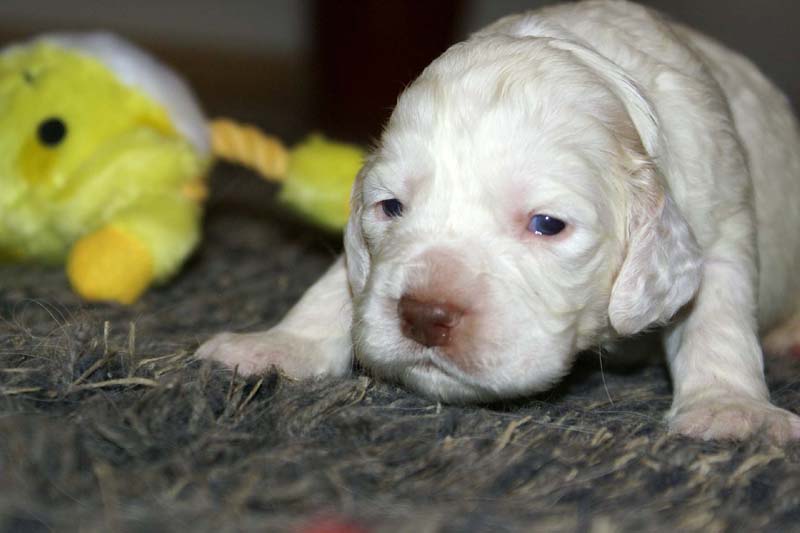 boy_purple_back_20days_l