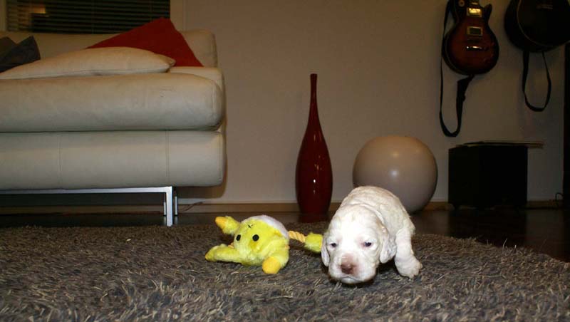 boy_purple_back_20days_m