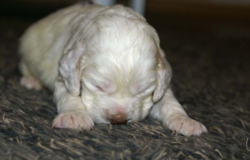 boy_purple_back_20days_n