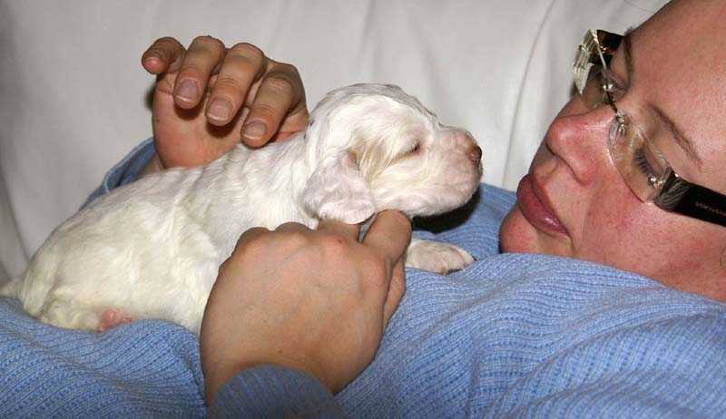 boy_purple_head_20days_b