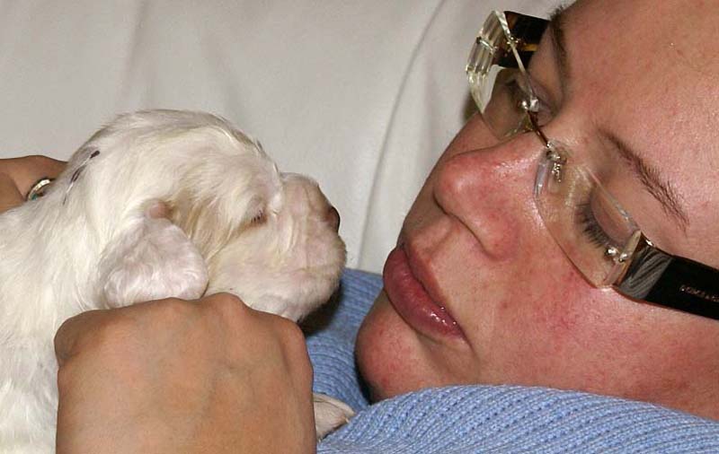 boy_purple_head_20days_d