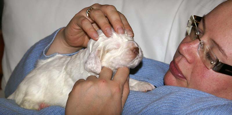 boy_purple_head_20days_e