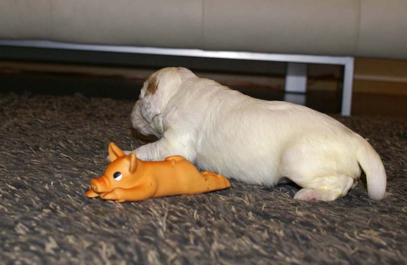 girl_pink_head_20days_a