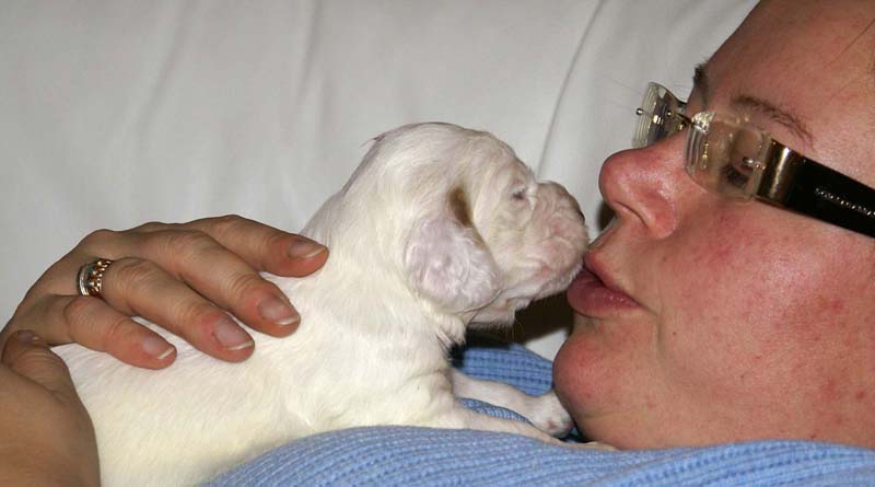 girl_pink_head_20days_i