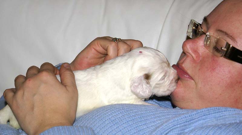 girl_pink_head_20days_j